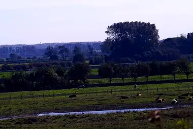 Natuurreservaat Zwin, Knokke-Heist
